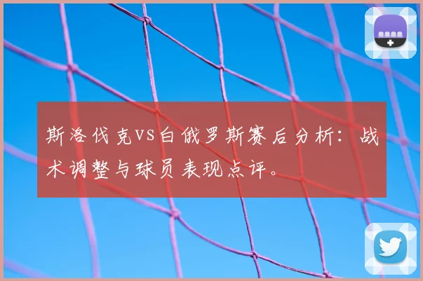 斯洛伐克vs白俄罗斯赛后分析:战术调整与球员表现点评。
