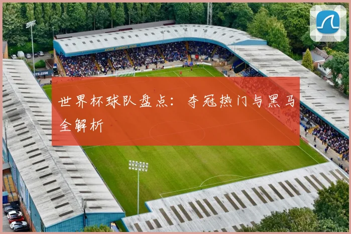 世界杯球队盘点：夺冠热门与黑马全解析