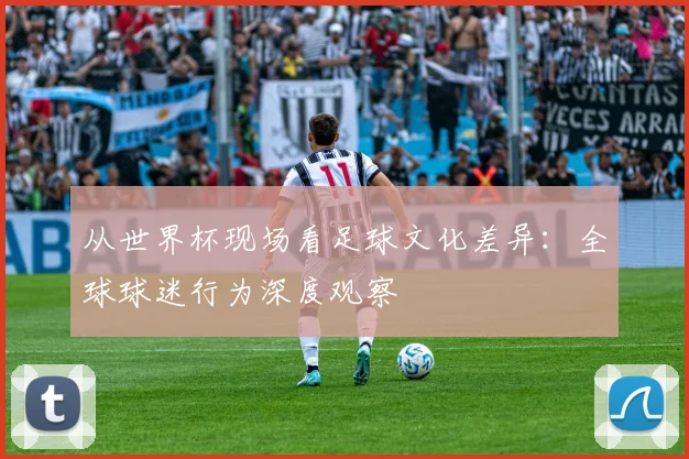 从世界杯现场看足球文化差异：全球球迷行为深度观察