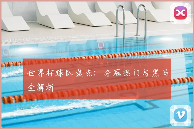 世界杯球队盘点：夺冠热门与黑马全解析