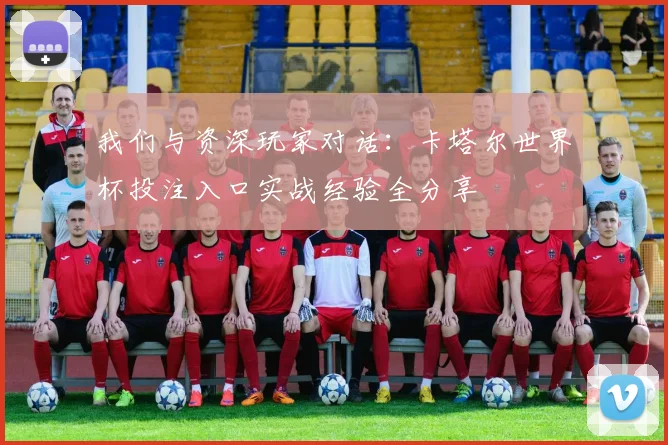 我们与资深玩家对话：卡塔尔世界杯投注入口实战经验全分享